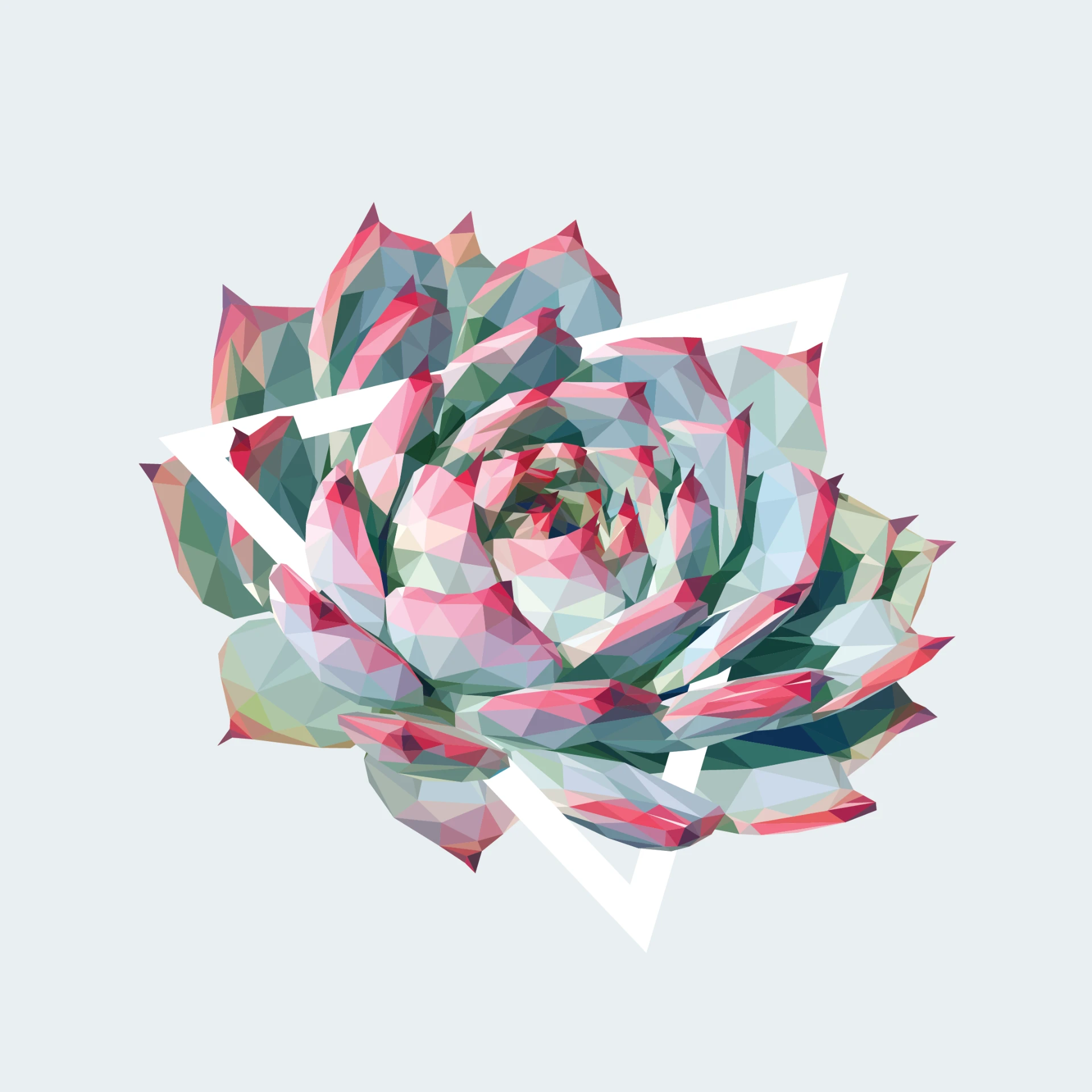 Low-poly geometric artwork of Echeveria Colorata succulent