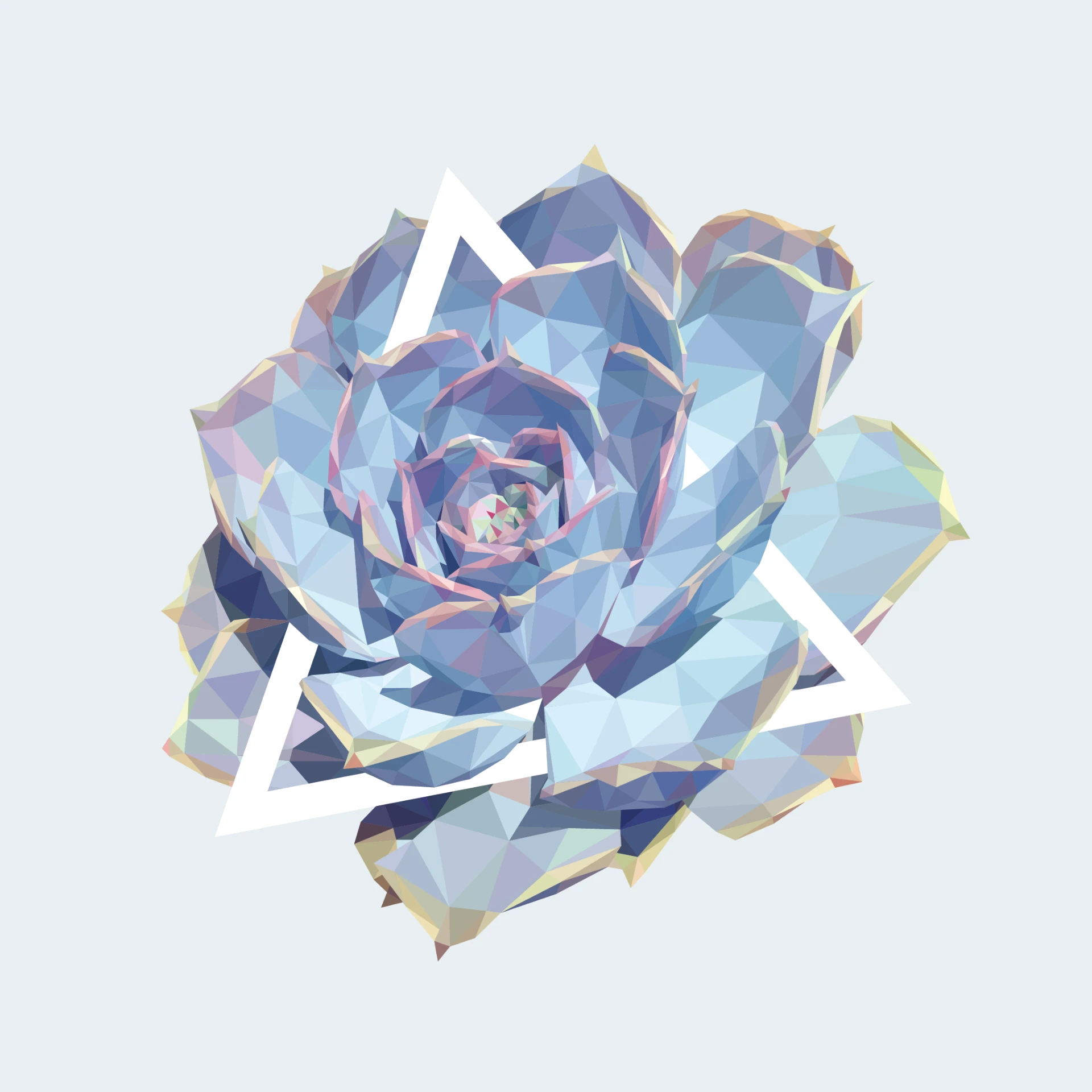Low-poly geometric artwork of Ghost Echeveria succulent