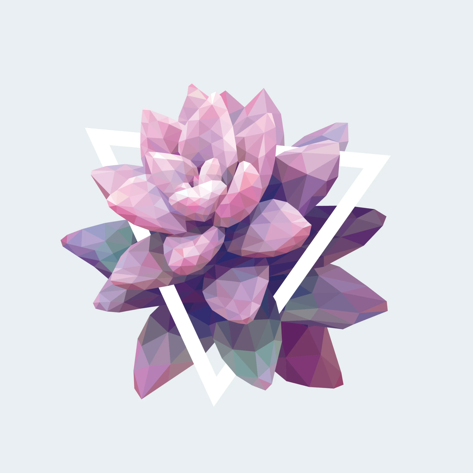 Low-poly geometric artwork of Graptopetalum Pink succulent