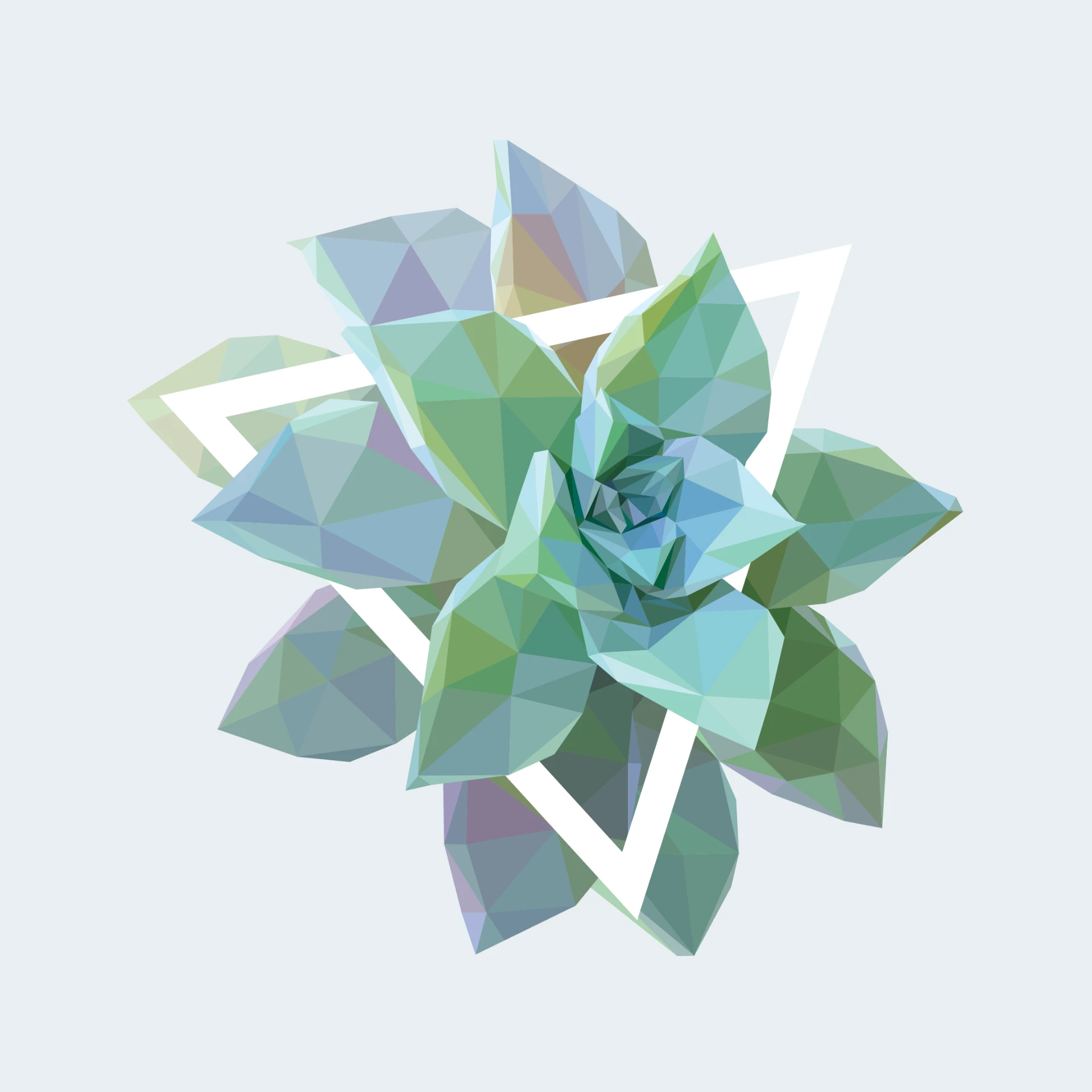 Low-poly geometric artwork of Graptopetalum succulent